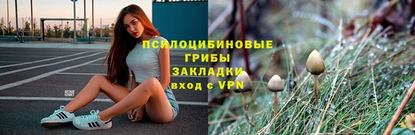 spice Баксан